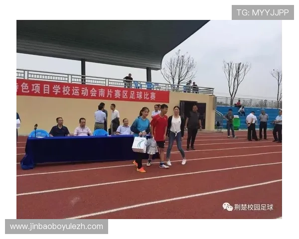 顶盛体育如何推动青少年运动参与的普及化