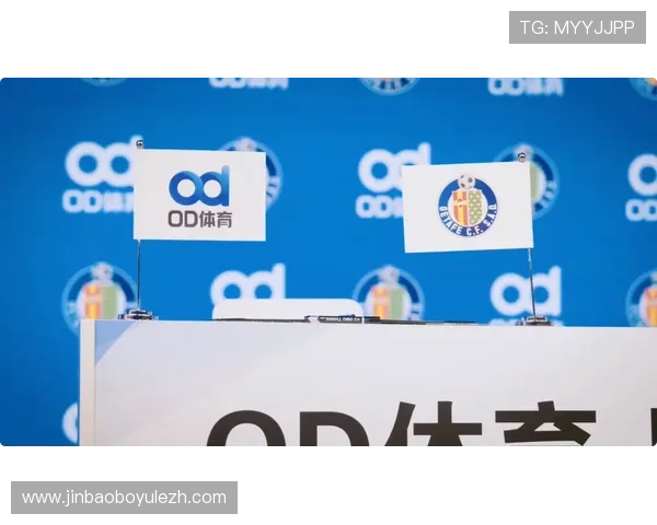 od体育赫塔菲足球登录网址入口详细流程与常见问题解决方案